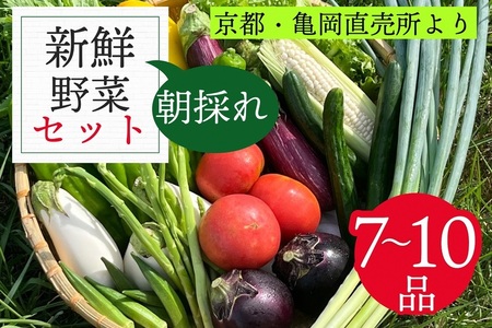 訳あり 新鮮 季節の野菜 セット 7～10品目 農家直送 朝採れ 亀岡 佐伯の里 京都丹波産 家計応援 生活応援