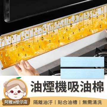 [無需清洗] 1包10片 抽油煙機吸油棉 油煙機吸油棉 拋棄式吸油棉 吸油棉 免清洗吸油棉 油煙機濾油棉 油槽吸油棉