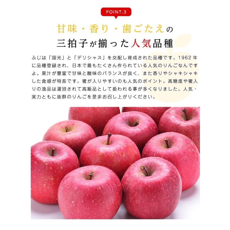 送料無料 青森県産蜜入りサンふじ9-11玉 約3kg りんご 3kg 蜜入りりんご 蜜りんご