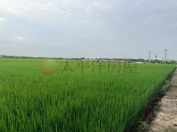 柳營交流道方正農地｜台南市柳營區果毅後