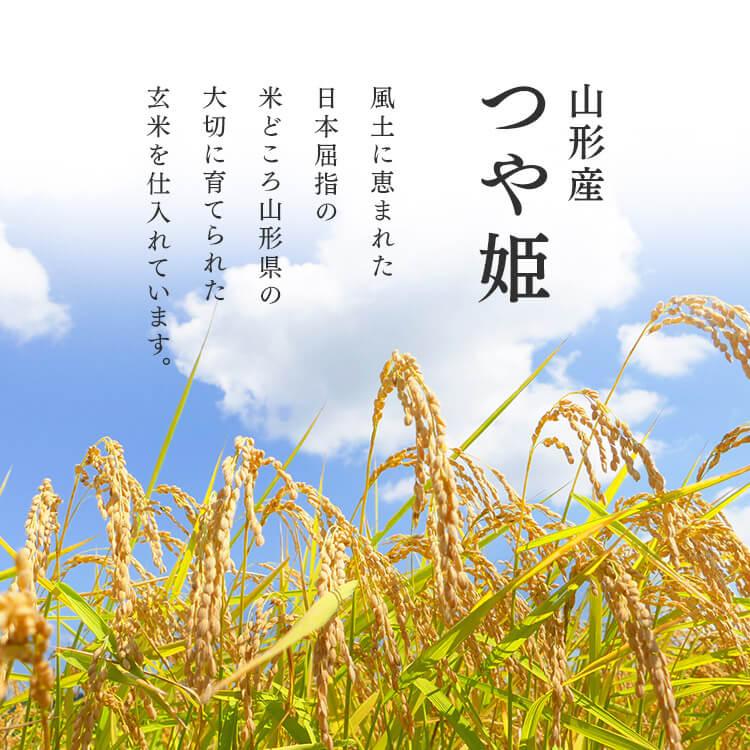 米 6kg 無洗米 送料無料 生鮮米 一人暮らし お米 つや姫 山形県産 (1.5kg×4袋)  アイリスオーヤマ