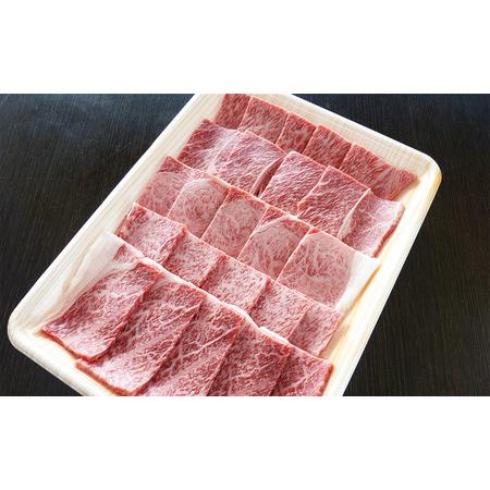 ふるさと納税 牛肉 飛騨牛 焼き肉 セット 赤身 モモ 又は カタ 500g 黒毛和牛 Ａ5 美味しい お肉 牛 肉 和牛 焼肉 BBQ バーベキュー 【岐阜県瑞.. 岐阜県瑞穂市