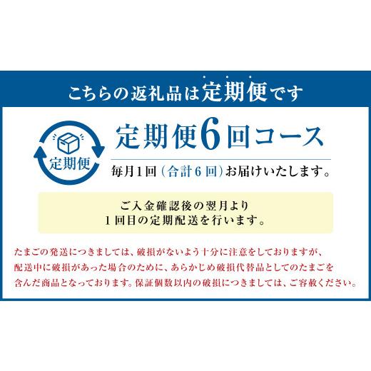 ふるさと納税 熊本県 人吉市  球磨球子 60個入 卵 たまご 鶏卵