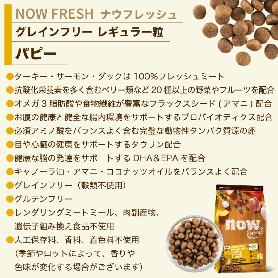 ナウ フレッシュ （NOW FRESH）グレインフリー パピー 9.98kg