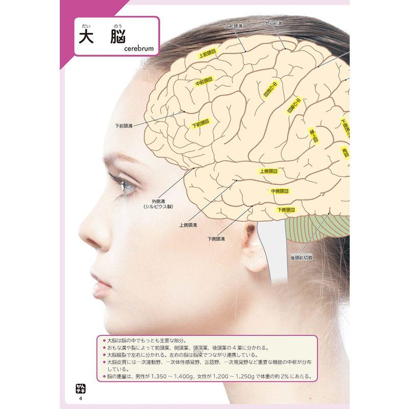 かんテキ 脳神経 患者がみえる新しい 病気の教科書