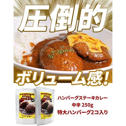 ハンバーグステーキカレー 250g ×2個 中辛 36チャンバーズ・オブ・スパイス レトルトカレー