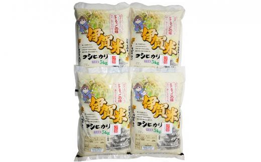 本物品質の 高食味！令和5年新米 我が家低農薬栽培 高知コシヒカリ玄米