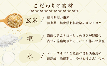 玄米ごはん レトルトパック 無農薬・無化学肥料栽培米使用 10袋（200g×10パック） [A-2929]