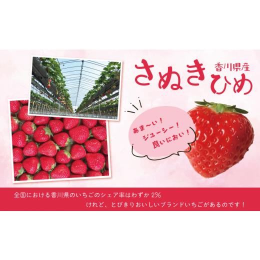 ふるさと納税 香川県 三木町 1198　苺音kotsubuちゃん〜お試しの小粒さぬきひめいちご〜約1.2kg