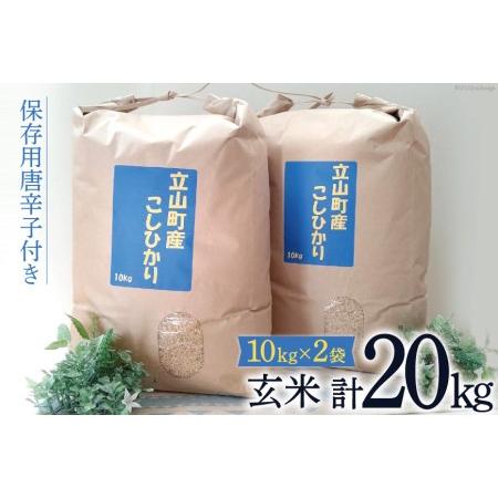 ふるさと納税 米 富山県立山町産 こしひかり 玄米 10kg×2袋 計20kg 保存用唐辛子付き   横山ファーム   富山県 立山町 富山県立山町