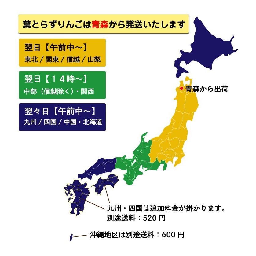 早期予約 りんご 青森 葉とらず サンふじ ご家庭用 約3kg(8〜14玉) ちょっぴり 訳あり 送料無料 産直 JGAP認証リンゴ グルメ Y常