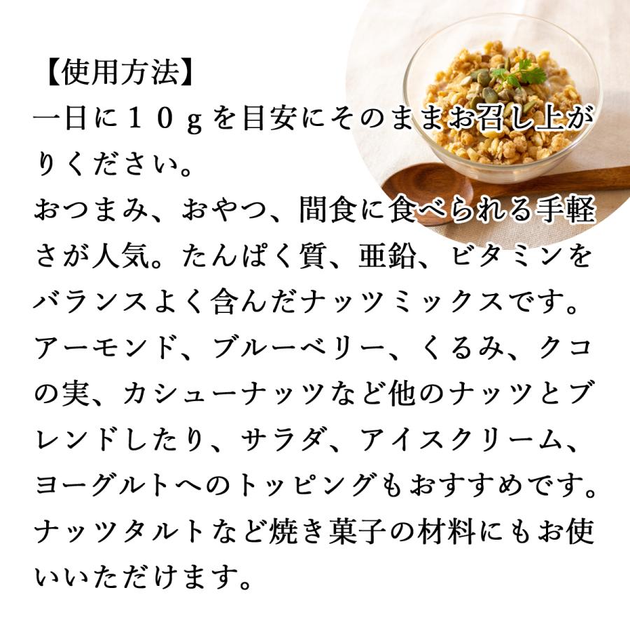 亜鉛食ミックス 120g×2個 ミックスナッツ 松の実 かぼちゃの種 ひまわりの種 送料無料