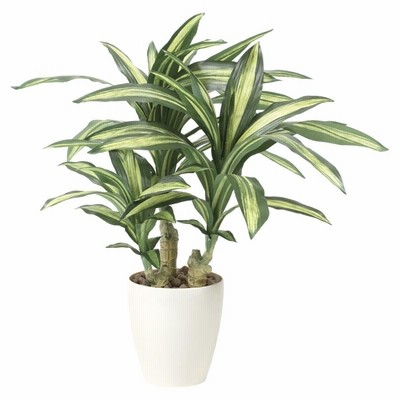 法人様限定 アートクリエイション オフィス家具 フェイクグリーン 人工観葉植物 幸福の木S 829K135 光触媒