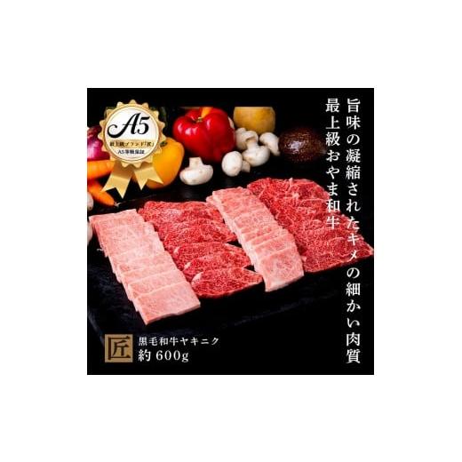 ふるさと納税 栃木県 小山市 おやま和牛 A5 極 ヤキニク 約600g　焼肉