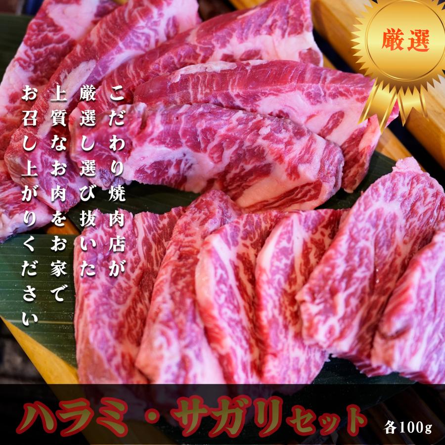 牛肉 サガリ ハラミ セット 焼肉 ステーキ BBQ ホルモン バーベキュー 厚切り 柔らかい 個包装 各100ｇ×各1