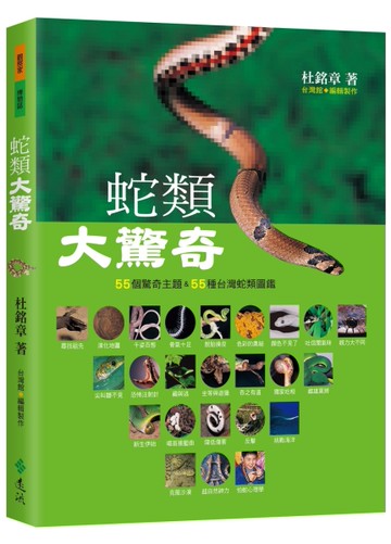 蛇類大驚奇：55個驚奇主題&55種台灣蛇類圖鑑