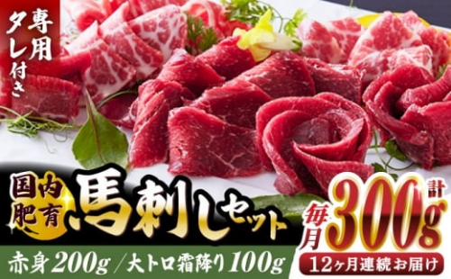 国内肥育 馬刺し 大トロ霜降り赤身セット 計300g 大トロ霜降り 100g 赤身 200g 専用タレ付き 熊本 山都町 冷凍 馬肉 馬刺 ヘルシー 小分け[YAK043] 240000 240,000 240000円 240,000円 24万円