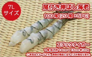 業務用 冷凍 尾付き伸ばし海老 ブラックタイガー 7Lサイズ 75尾 15尾×5PC入り 約14cm～15cm 約20g 殻むき 背ワタ処理済み 