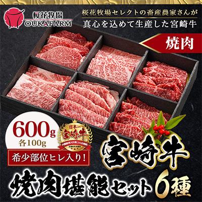 ふるさと納税 都城市 宮崎牛6種盛り焼肉堪能セット600g