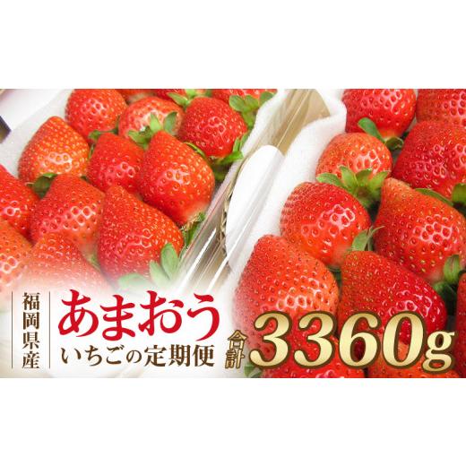 ふるさと納税 福岡県 久留米市 福岡県産 あまおう 合計3,360g (2月・3月・4月の3回 1,120g(280g×4パック))