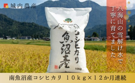 新米 令和５年産 南魚沼産コシヒカリ　白米１０ｋｇ＜５割減農薬栽培米＞　城内農産