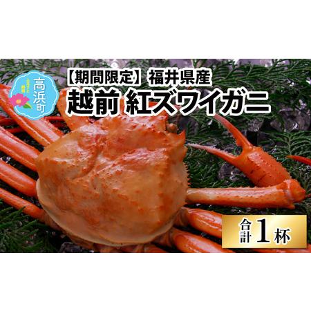 ふるさと納税 福井県産 越前紅ズワイガニ × 1杯 福井県高浜町