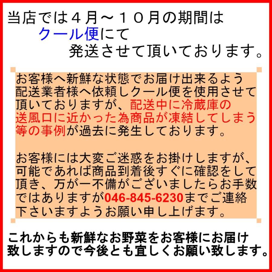 三浦野菜 じゃがいも きたあかり 1kg 送料半額 東日本 神奈川県産