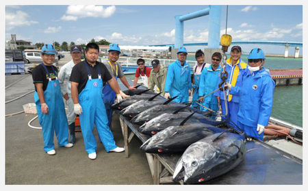 　本部町産　本マグロ切り落し　約250g