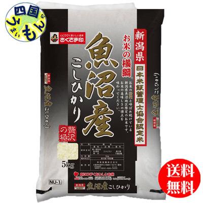 幸南食糧  新潟県産  魚沼こしひかり　白米 特A 令和4年産 5kg １袋(5kg)　メーカー直送