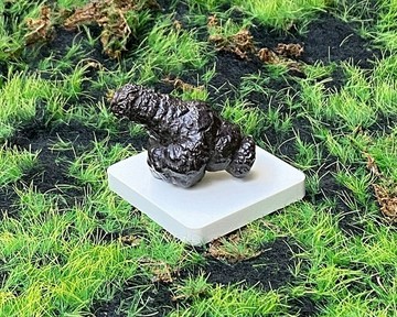 天然埃及預言石造型原礦 心靈平靜石 平撫情緒 快速出貨