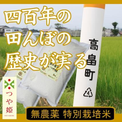 新米 令和4年産 山形県産 つや姫 10kg (5kg×2袋) 特別栽培米 (減農薬米・減化学肥料米)