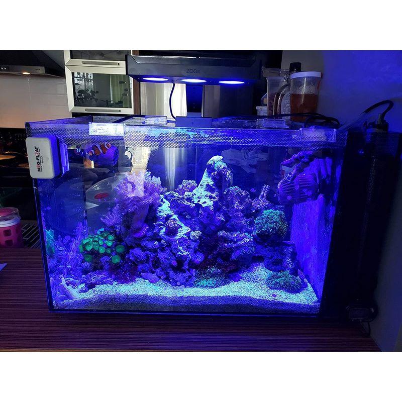 FLUVAL MARINE NANO 海水 水槽 - ペット用品