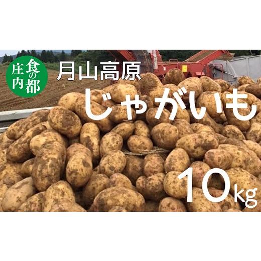 ふるさと納税 山形県 三川町 食の都庄内　月山高原のじゃがいも　約10kg