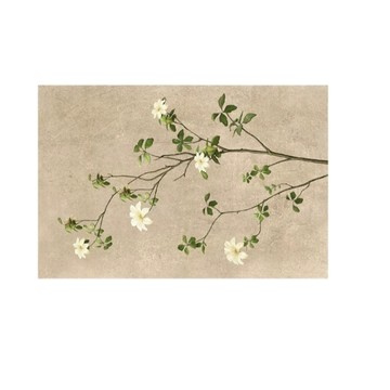 有框畫作 50*70 掛畫 客廳掛畫 裝飾畫 壁畫 牆面畫 玄關掛畫 沙發牆掛畫 侘寂風壁畫 綠植裝飾畫