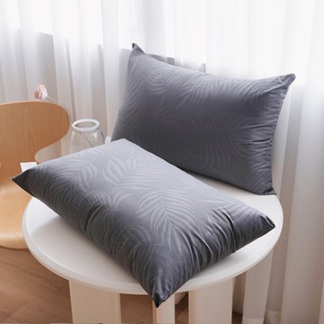 氧鐵灰-可水洗舒眠抗菌機能枕-2入(台灣製)