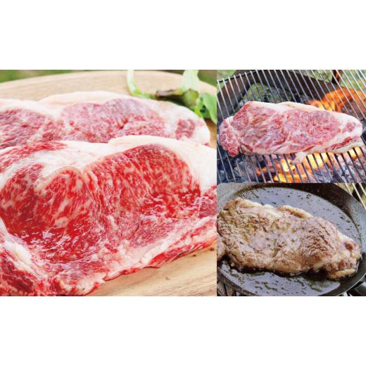 ふるさと納税 鹿児島県 南さつま市 黒毛和牛 サーロインステーキ 約500g （約170g×3枚） 牛肉 A4等級 ステーキ BBQ ギフト 贈答 冷凍 スターゼ…