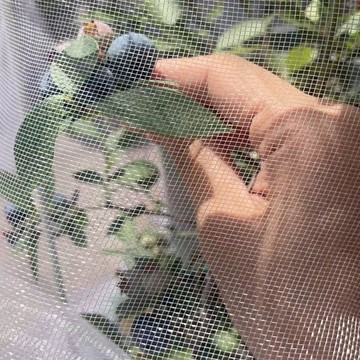 含稅價防蟲網罩紗網櫻桃楊梅蓮霧藍莓果樹防蟲防鳥果蠅透氣透光網套防污