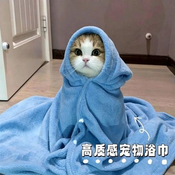 小橘子優選 寵物毛巾加厚速幹不粘毛狗狗貓咪專用洗澡毛巾寵物專用品不掉毛 壹灣出貨 犬 小毛巾 速乾毛巾 寵物貓 犬貓
