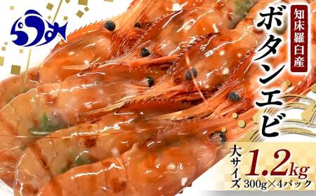 12月17日入金分まで 年内発送 北海道産 知床羅臼産ボタンエビ 大サイズ1.2kg（300g×4パック） ぼたんえび ぼたん海老 魚介類 北海道 魚介 海産物 冷凍 刺身 海鮮丼 生産者 支援 応援 F22M-074