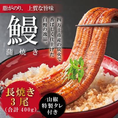 ふるさと納税 四万十市 うなぎ蒲焼　長焼3尾 CD