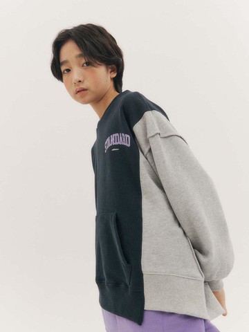 Cotton Medium Thickness Sweatshirt [Navy]