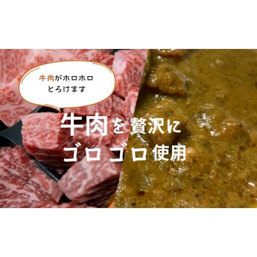 ふるさと納税 福岡県 朝倉市 小松菜カレー 4個