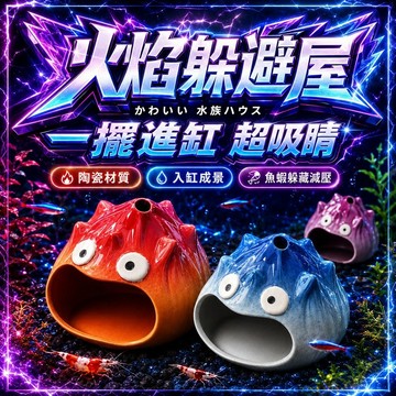 🔥現貨🔥陶瓷躲避屋 爬蟲躲避洞 魚蝦躲避 爬蟲造景 觀賞魚躲避 兩棲角蛙守宮鼠蜥蜴蠍子龜 洞穴 造景 爬寵 魚缸造景