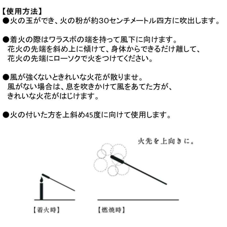 筒井時正作 西の線香花火