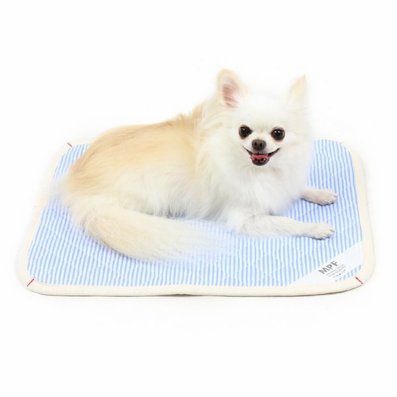 セール 犬 マット 洗える ペットパラダイス ネット店限定 クール 接触冷感 柔らか マット 50 40cm ひんやり 通販 Lineポイント最大0 5 Get Lineショッピング