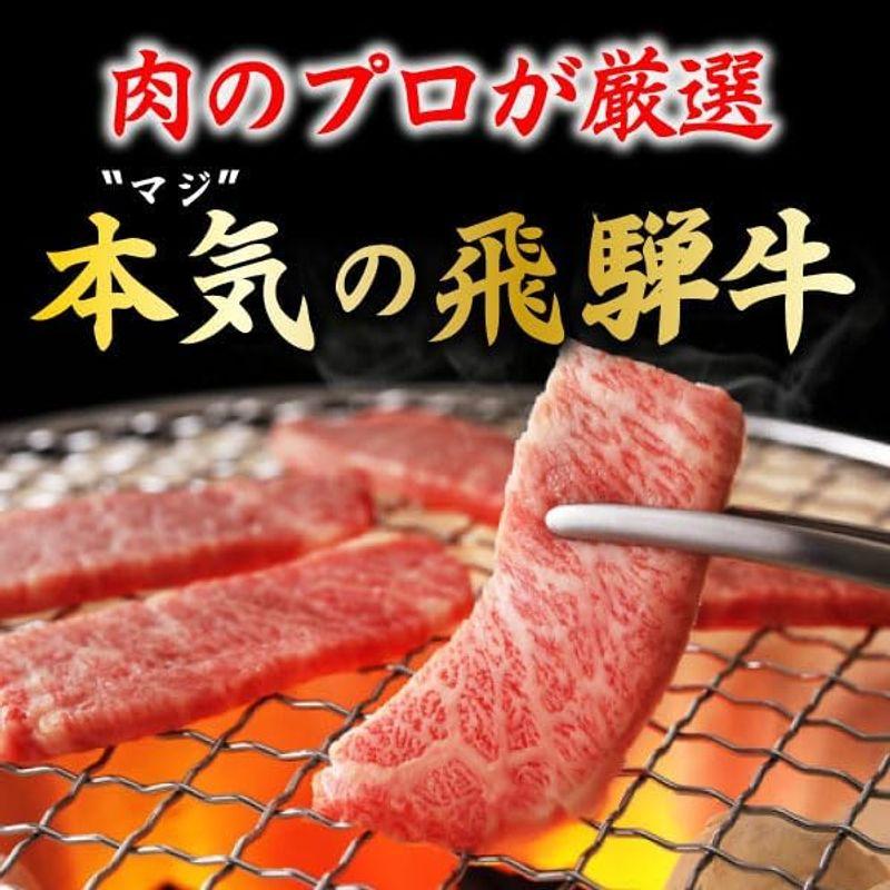 うしの家 飛騨牛サーロインステーキ 500g（250g×2枚） 贈答用 黒毛和牛 簡単調理 牛肉 ステーキ 和牛 サーロイン 飛騨牛