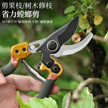 🏷️超值優惠🏷️園林剪刀 修剪樹枝剪果樹園藝剪刀花藝剪枝剪刀 修枝剪刀