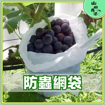 【現貨🌳隔日到貨】水果套袋 水蜜桃套袋 紗網袋 可重複使用  防蟲網 水果網袋 網袋 草莓套袋 無花果套袋 水果網袋