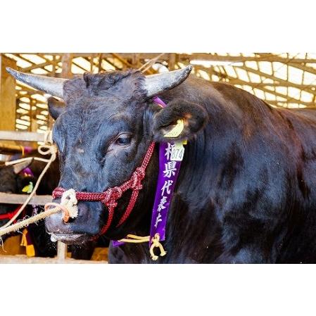 ふるさと納税 藤増 しまね和牛肩ロース スライス 550ｇ 島根県出雲市