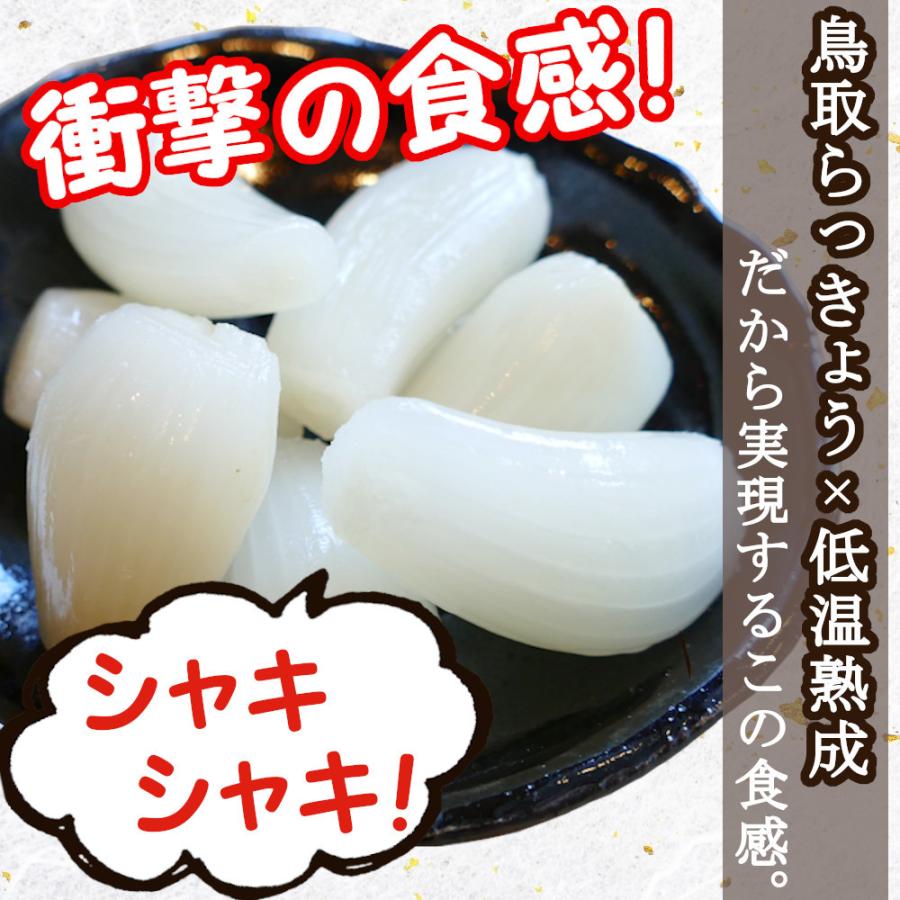 国産らっきょう漬け お試しセット 190g×2種 (甘酢漬け＆ピリ辛）無添加  低温熟成 送料無料 鳥取砂丘 ラッキョウ